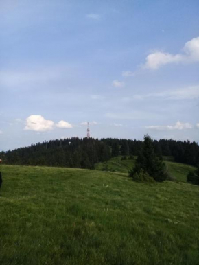 Отель Holiday Home Mrljes  Раст
